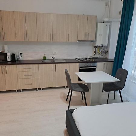 Visaj Residence Тимишоара Екстериор снимка